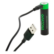 PATONA Premium Akumulator litowo-jonowy 18650 z wejściem USB-C 3,7 V 3300 mAh