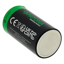 PATONA Premium 2x Akumulatory LR20 Mono D z USB-C i kablem USB-C z 1x do 2x