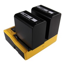 PATONA Podwójna ładowarka USB LCD do Panasonic VWVBD29 VW-VBD29 VWVBD58 VW-VBD58