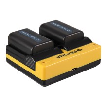 PATONA Dual Ladegerät f. Sony NP-FM50 NP-F550 NP-F750 NP-F970 inkl. Kabel micro-USB
