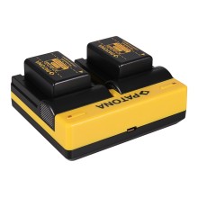 PATONA Dual Ladegerät f. Leica Panasonic DMW-BMB9 V-Lux V-Lux 2 VLux 2 II Panasonic inkl. Micro USB