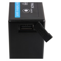 Bateria PATONA Premium f. Panasonic VW-VGB6 HDC-HS700 NV-GS320 NV-GS330 PV-GS500 SDR-H18 SDR-H200 VDR-D220 z wyjściem USB