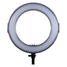 PATONA Premium Lampa pierścieniowa LED RL-320A do foto i wideo